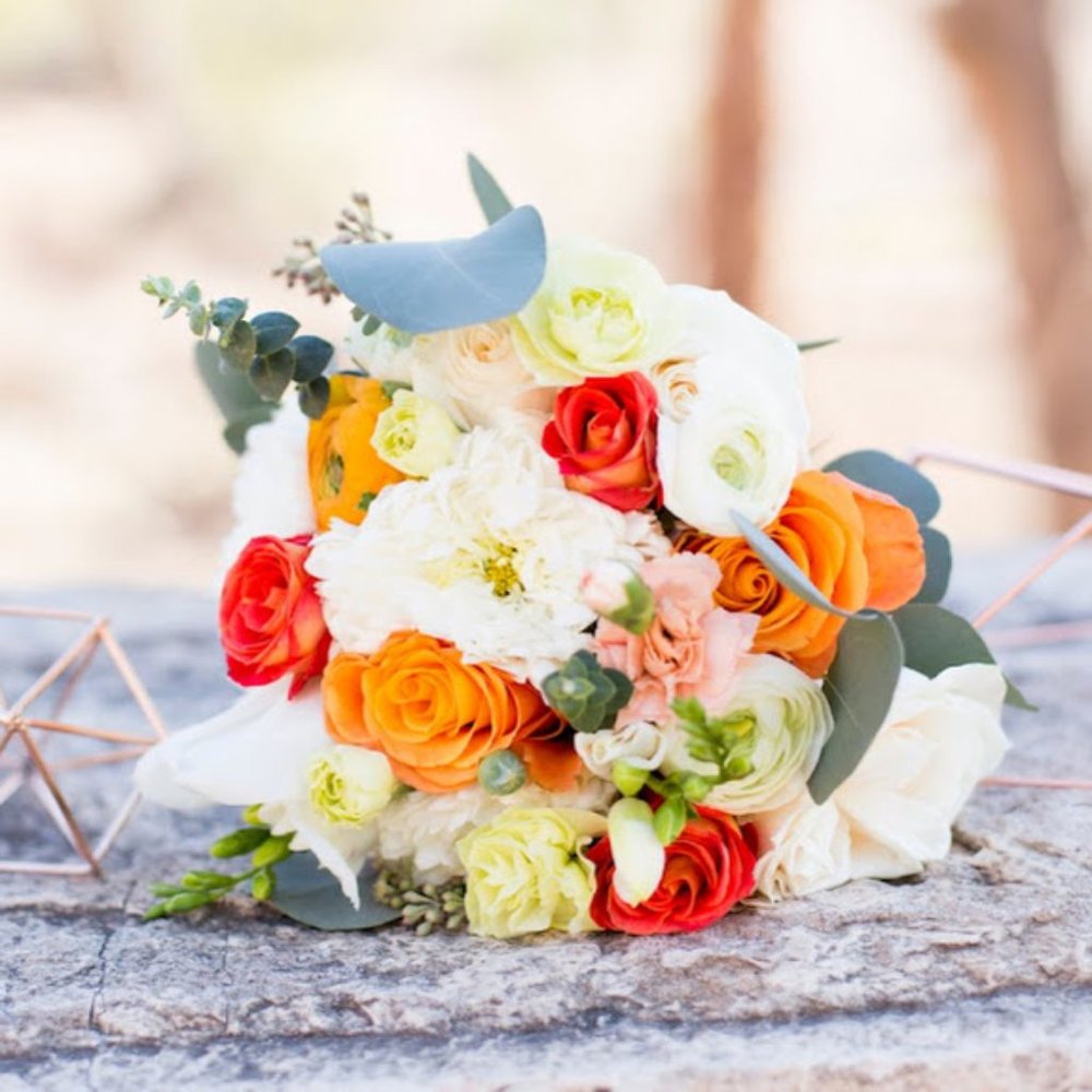 Meet your Posher, Katie B.